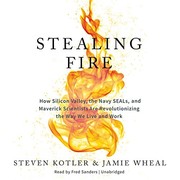 Stealing Fire cover